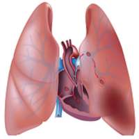 Pulmonary & Diseases on 9Apps