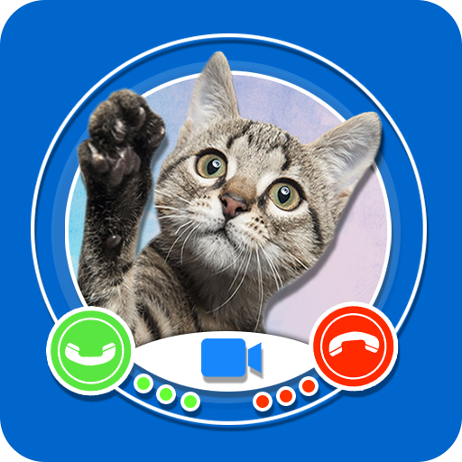 Cat Video Call - Cat Fake Video Call 2020 icon