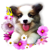 Cute Puppies live wallpaper icon