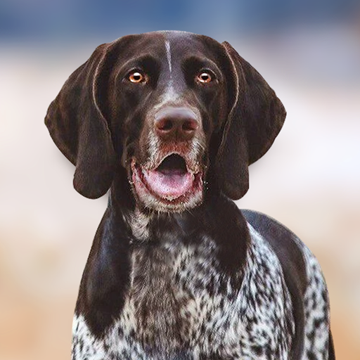 ग्रीमन शार्टहेड पॉइंटर सिम्युलेटर आइकन