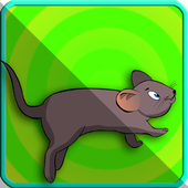 Rat Jungle Run icon