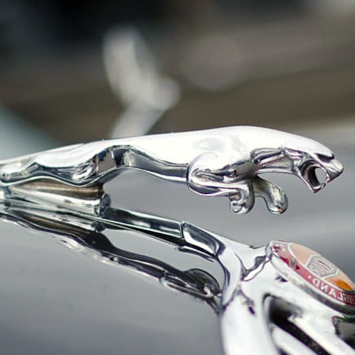 jaguar wallpapers : jaguar HD icon