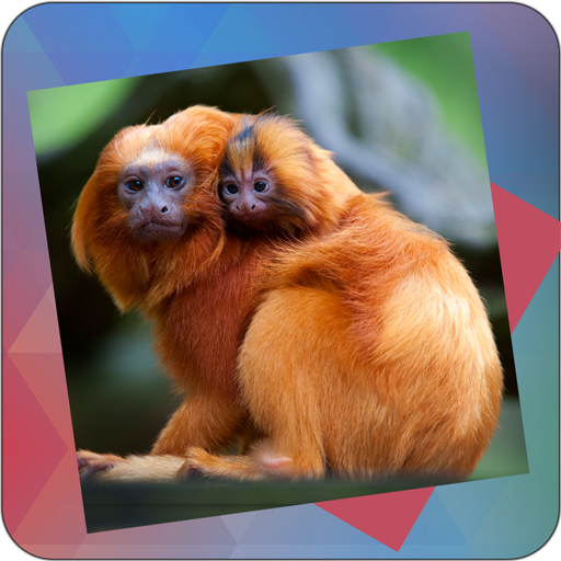 Déjà Vu - Families icon