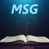 Message Bible Audio icon