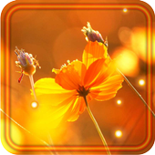 Music of Autumn live wallpaper icon