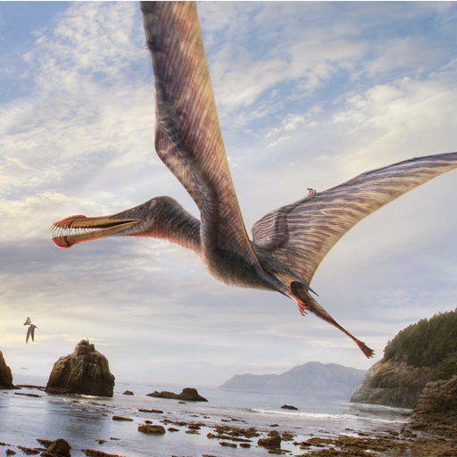 Dino Prehistoric Bird icon