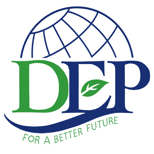 DEP Information System icon