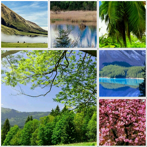 Collage Maker أيقونة