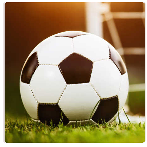 Dream Star League Soccer Cup icon