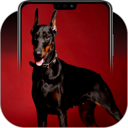 Doberman Wallpapers icon