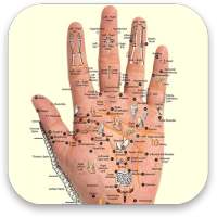 Acupressure - Self Healing TCM