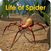 Life of Spider