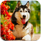 Dogs Tile Puzzle icon