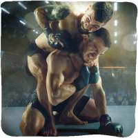 MMA Fighting Techniques Guide