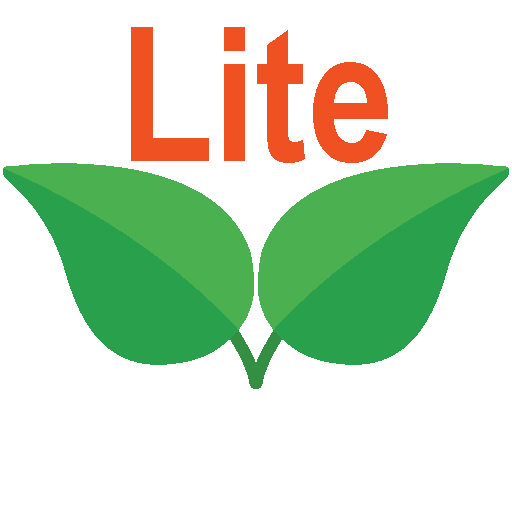Mirror Lite icon
