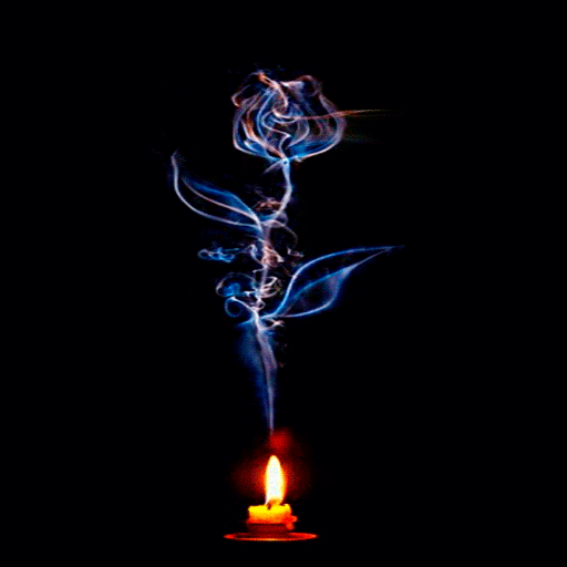 Candle Flower Live Wallpaper icon