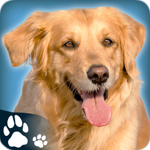 PetDog Game icon