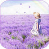 Lavender Live Wallpaper أيقونة