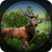 Forest Hunt icon