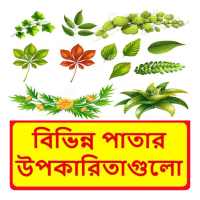 বিভিন্ন পাতার উপকারিতাগুলো ~ Benefits of Leaf