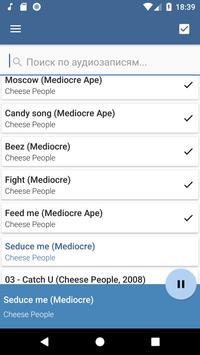 Audio Manager screenshot 3