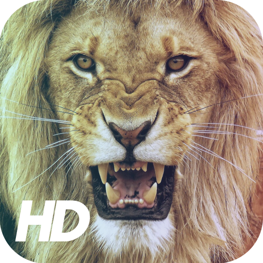 Лев обои иконка