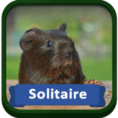 Solitaire Pets icon