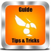 Guide Hornet Gay Social Network