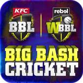 Big Bash Cricket