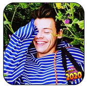 Harry Styles Wallpaper HD أيقونة