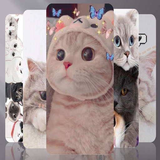 cute cat icon