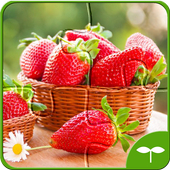Fruit Jigsaw Puzzle icon