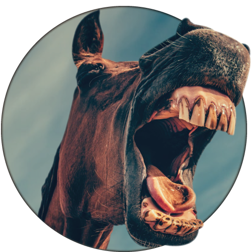 Animal Sounds आइकन