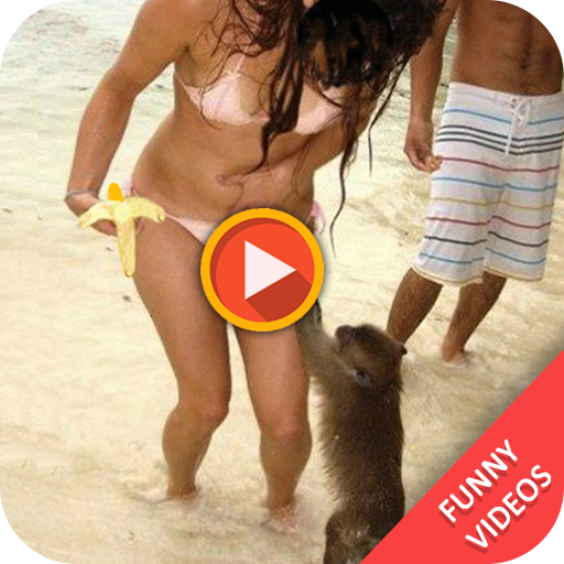 Funny Videos icon
