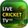 IPL Live Cricket 2022