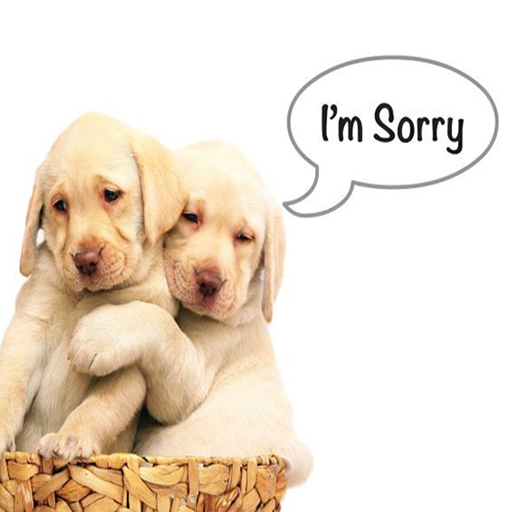 Sorry and Forgive me Ecards icon