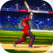 Cricket 2019 Stars Tournament