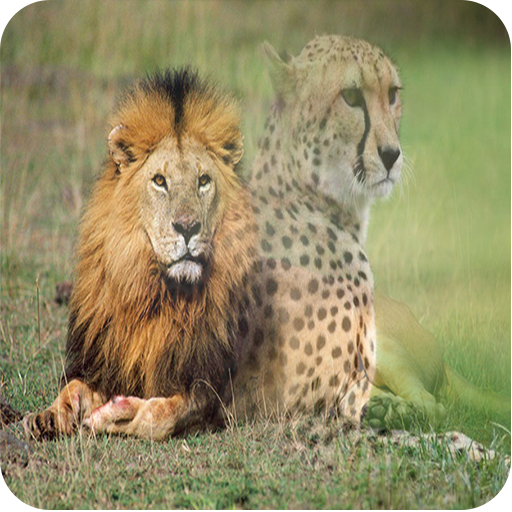 وصفات سحرية icon