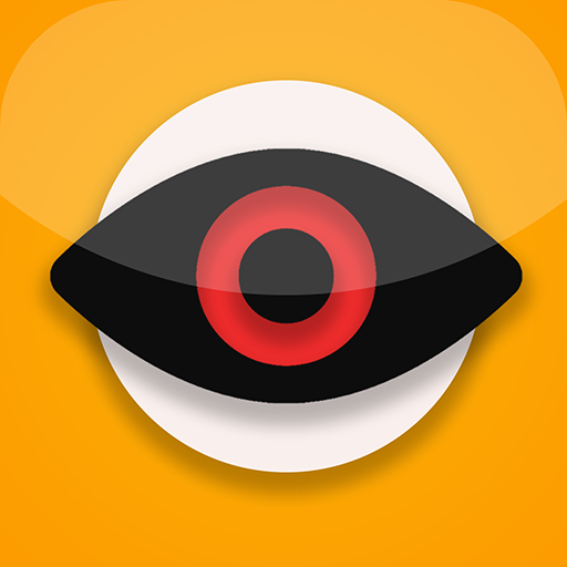 ikon IoVedo.RK is the app for DSE RK cameras, NVR, DVR