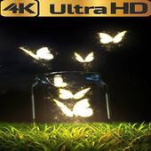 Wallpapers Craft icon