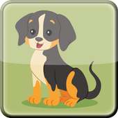 How to Train a Puppy - Dog Training Tips