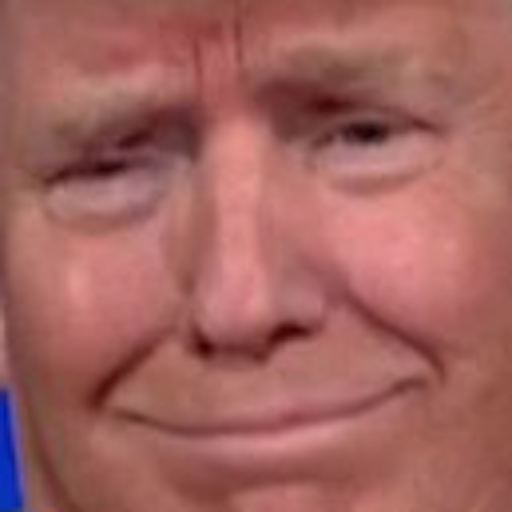 Trumpy Wall: Build a Wall! icon