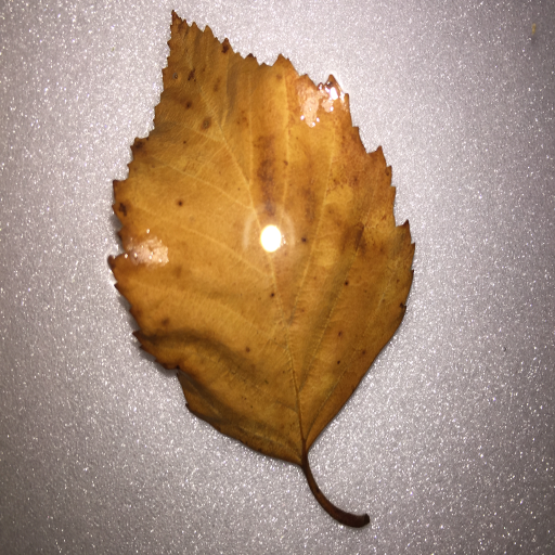 Humble Love أيقونة