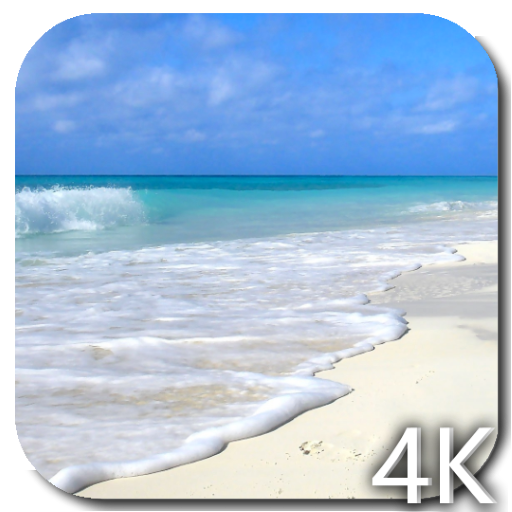 Paradise Video Live Wallpaper icon