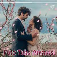 WA Foto Teks Animasi Gif dan Video