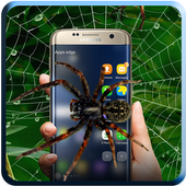 Spider in phone Prank icon