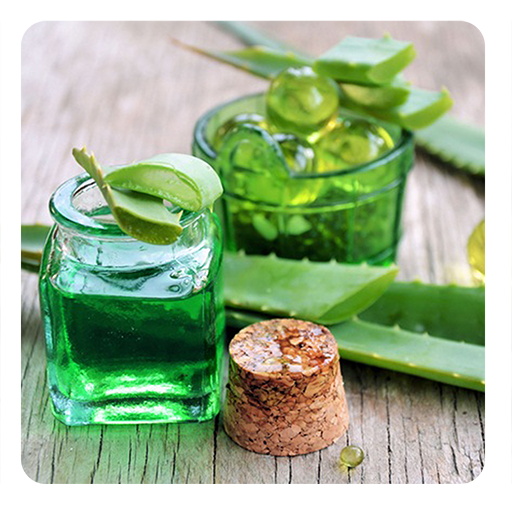 Traitements Naturels et Remèdes à la Maison icon