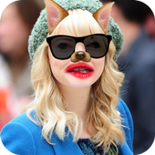 ikon Funny Face Editor