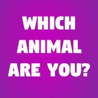 Which Animal Are You?