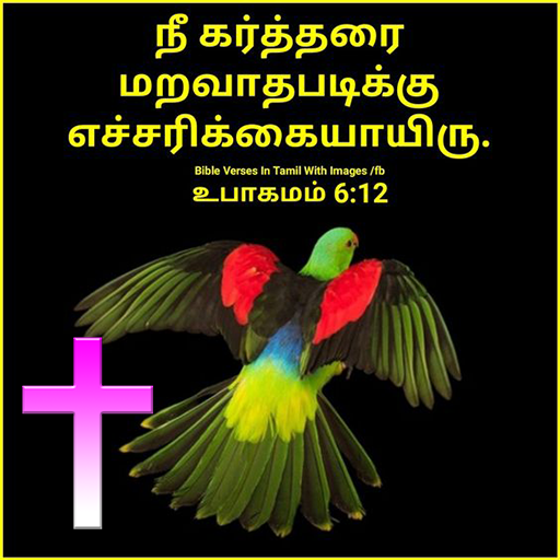 Tamil Bible versus icon